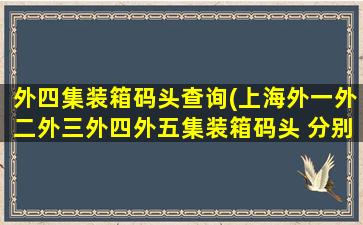 外四集装箱码头查询(上海外一外二外三外四外五集装箱码头 分别指的是哪些*)